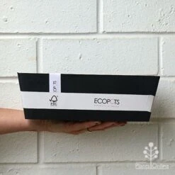 EcoPot Bruges - Dark Grey -Australian Plants Online Sales apo ecopots bruges size