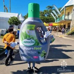 Osmocote 1L Pour + Feed Cacti And Succulent Fertiliser -Australian Plants Online Sales apo pour feed mascot qge