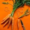 Carrot All Year Round - Seed -Australian Plants Online Sales carrots superorange