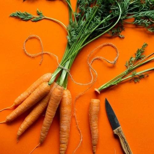 Carrot All Year Round - Seed -Australian Plants Online Sales carrots superorange
