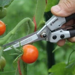 Compact Snips -Australian Plants Online Sales compact snips