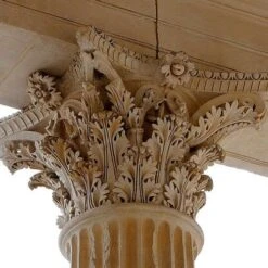 Acanthus Mollis - Oyster Plant -Australian Plants Online Sales corinthian column