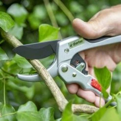 Ratchet Anvil Secateurs -Australian Plants Online Sales darlac ratchet anvil pruner 1