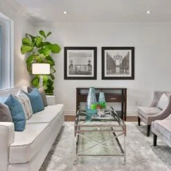 Ficus Lyrata - Fiddle Leaf Fig -Australian Plants Online Sales fiddle leaf fancy room