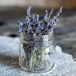 Lavender English Munstead - Seed -Australian Plants Online Sales lavender dried