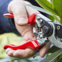 Left Hand Bypass Secateurs -Australian Plants Online Sales left handed secateurs closer