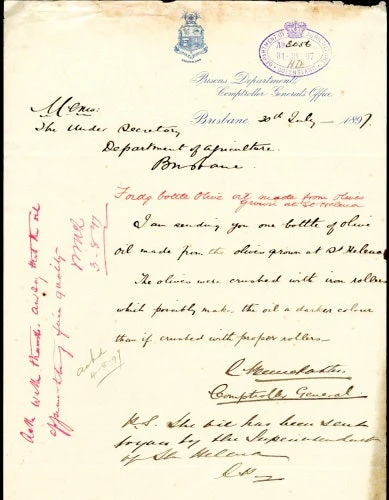 Olive Helena 4 Olive Helena - Image 2