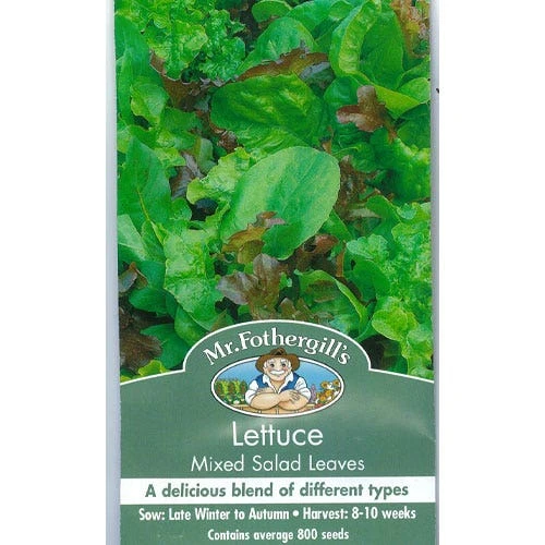Lettuce Mixed Salad Leaves - Seed 3 Lettuce Mixed Salad Leaves - Seed
