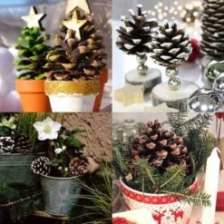 Pine Cones - Pack Of 4 7 Pine Cones - Pack Of 4 -Australian Plants Online Sales pine cone pots