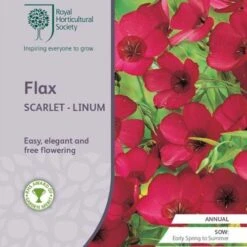 Flax Scarlet - Seed