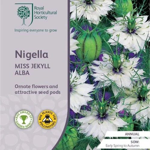 Nigella Miss Jekyll White - Love In A Mist - Seed -Australian Plants Online Sales rhs nigella white