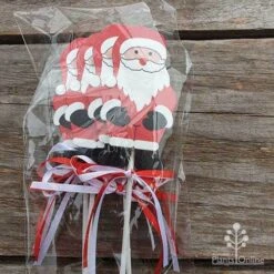 Wooden Santa Picks - Pack Of 4 7 Wooden Santa Picks - Pack Of 4 -Australian Plants Online Sales santa pick closeup