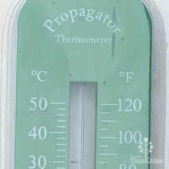 Propagation Thermometer -Australian Plants Online Sales thermometer max temp